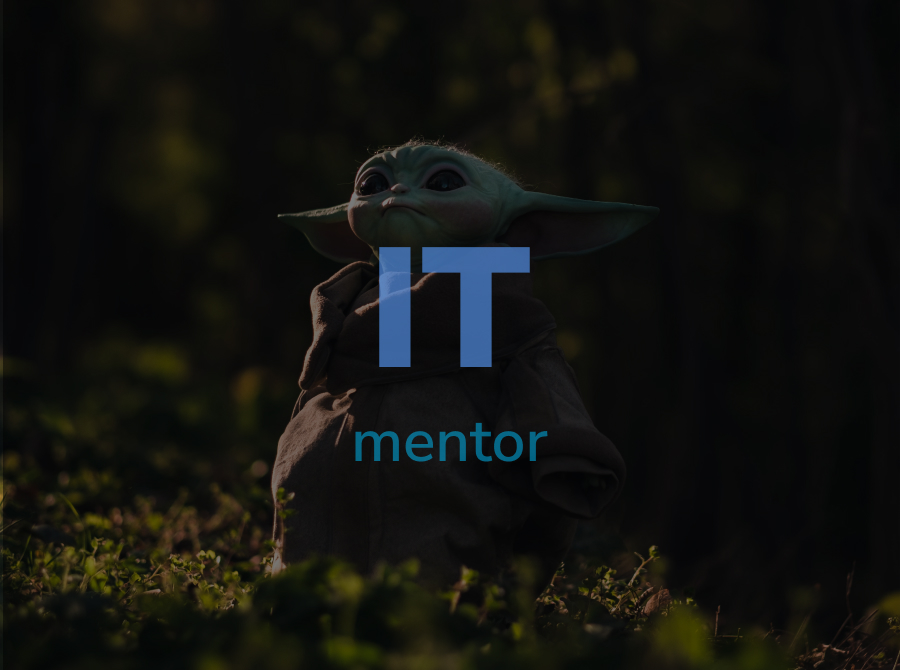 IT Mentor